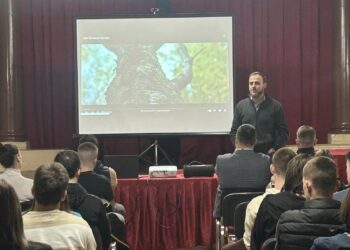 Образовни програми у Суботици